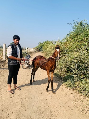 थंबनेल 2