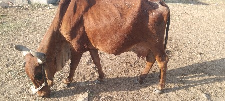 थंबनेल 3