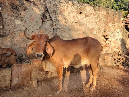 थंबनेल 3