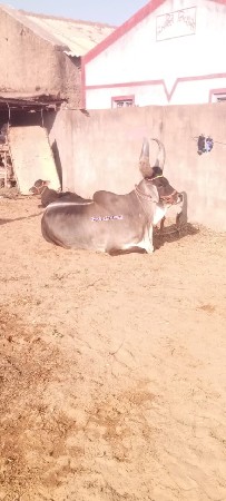 थंबनेल 2