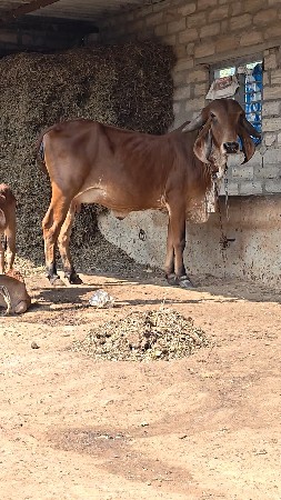 थंबनेल 3