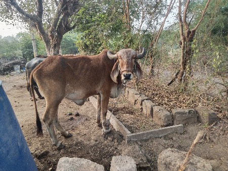 थंबनेल 2