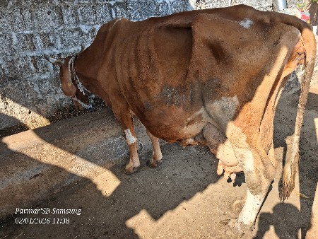 થંબનેલ 2