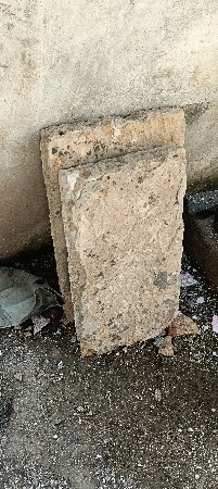 પાપળિયુ વેચવાની છે