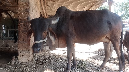 थंबनेल 2