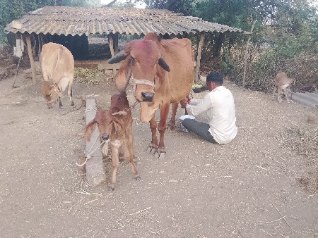 थंबनेल 3