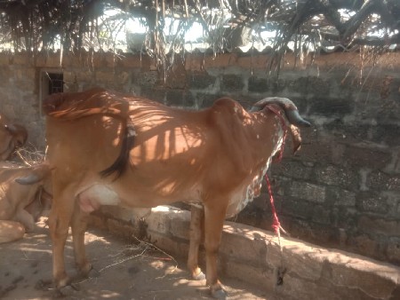 थंबनेल 3