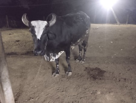 એક મહીનાની વાર હે