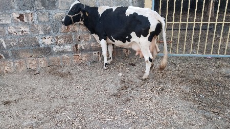 थंबनेल 3