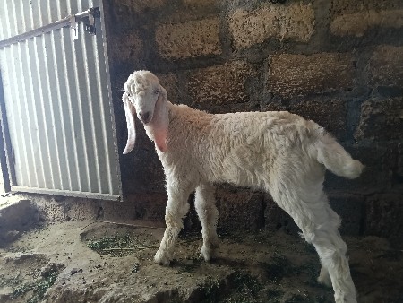 થંબનેલ 2