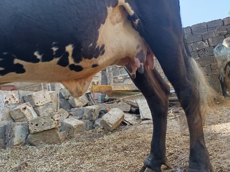 थंबनेल 2