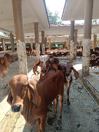 थंबनेल 3