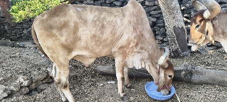 थंबनेल 2