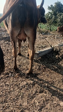 थंबनेल 2