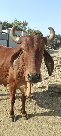 थंबनेल 3