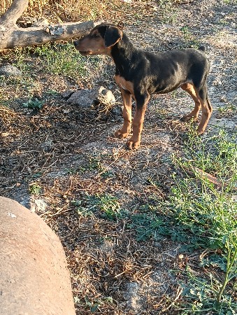 थंबनेल 2