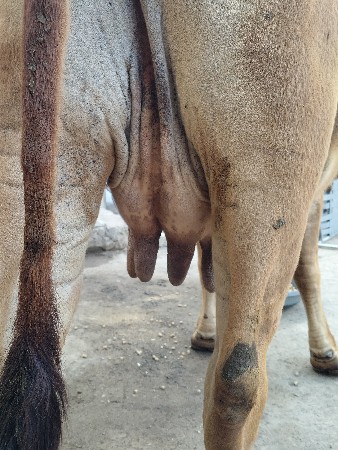 थंबनेल 2