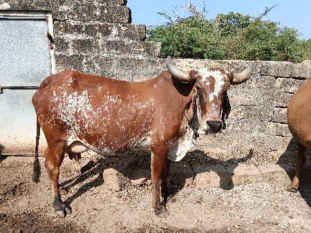 थंबनेल 3