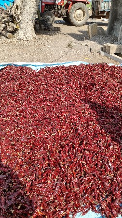 थंबनेल 3