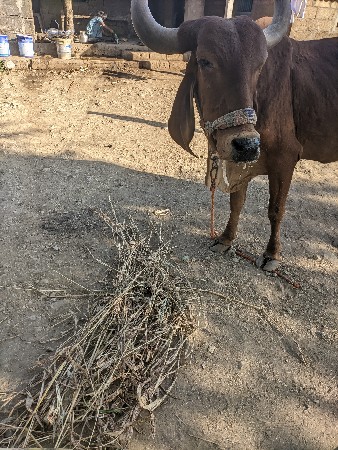 थंबनेल 3