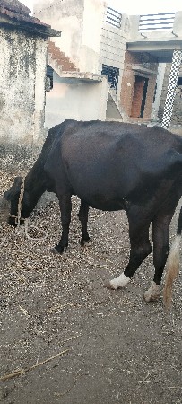 थंबनेल 2