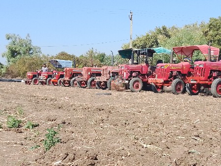 થંબનેલ 4