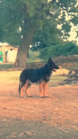 થંબનેલ 3