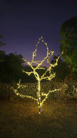 એક કપલ ની જરૂરિયાત છે, હેલ્પર.