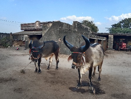 થંબનેલ 2