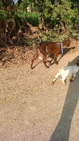 थंबनेल 2