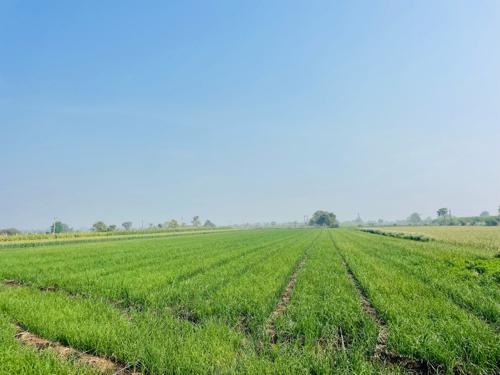 थंबनेल 3