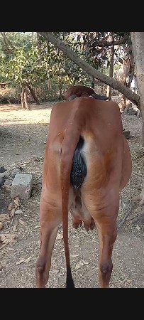 थंबनेल 1