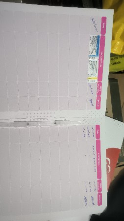 વેચવાના છે લેબ્રાડોર કુતરી