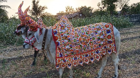 थंबनेल 3