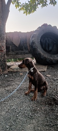 थंबनेल 3