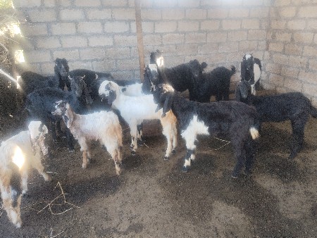 थंबनेल 2