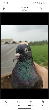 थंबनेल 2