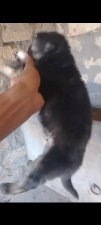 थंबनेल 3