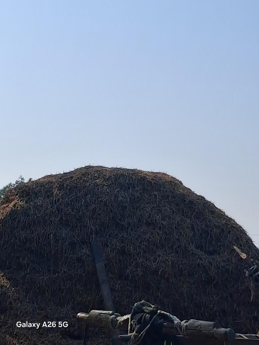 માડવી નો સારો