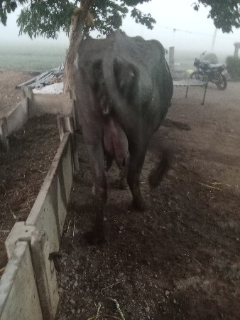 थंबनेल 2