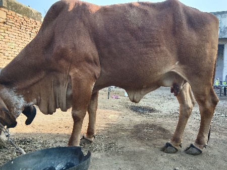 थंबनेल 2