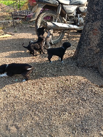 थंबनेल 3