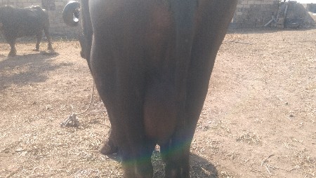 थंबनेल 3