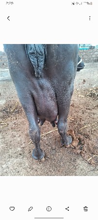 થંબનેલ 3