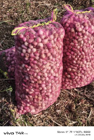 ડુંગળી વેસવાની છે