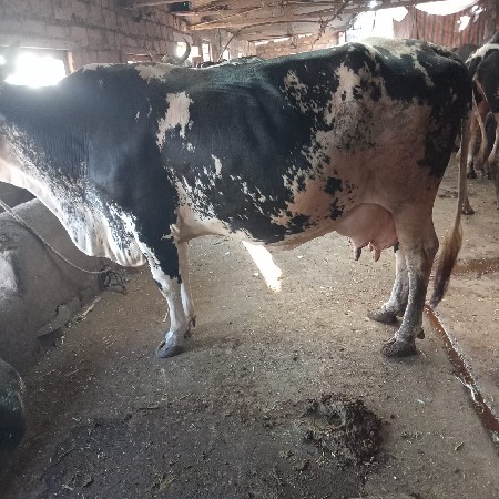 थंबनेल 3