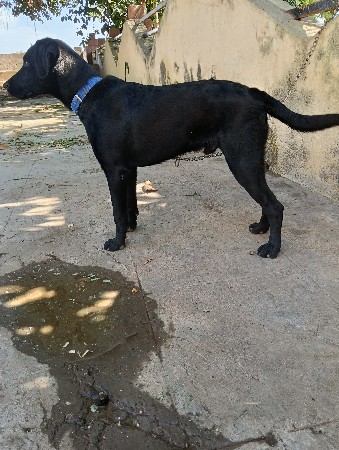 થંબનેલ 3