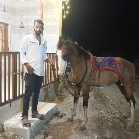 थंबनेल 3