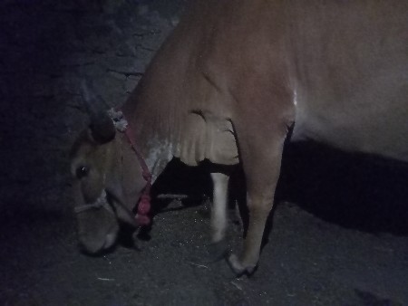 થંબનેલ 2