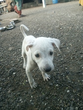 જુના વાઘણીયા તાલુકો અમરેલી